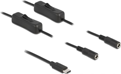 Picture of Delock Cable USB Type-C™ male to 2 x DC 5.5 x 2.1 mm female with switch 1 m