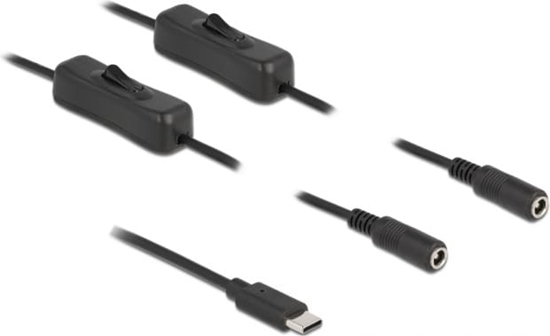 Picture of Delock Cable USB Type-C™ male to 2 x DC 5.5 x 2.1 mm female with switch 1 m