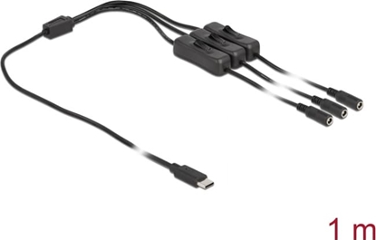 Picture of Delock Cable USB Type-C™ male to 3 x DC 5.5 x 2.1 mm female with switch 1 m