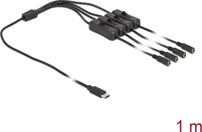 Picture of Delock Cable USB Type-C™ male to 4 x DC 5.5 x 2.1 mm female with switch 1 m