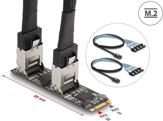 Picture of Delock Converter M.2 2280 Key B+M male to 8 x SATA