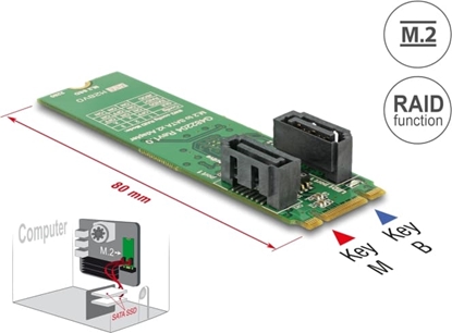 Изображение Delock Converter M.2 Key B+M male > 2 x SATA 7 pin male with RAID