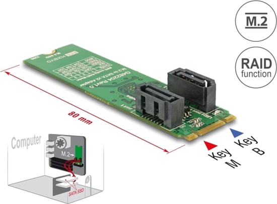 Изображение Delock Converter M.2 Key B+M male > 2 x SATA 7 pin male with RAID
