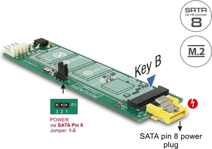 Изображение Delock Converter SATA pin 8 power receptacle > M.2 Key B slot