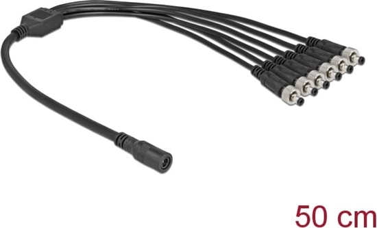 Изображение Delock DC Splitter Cable 5.5 x 2.1 mm 1 x female to 6 x male screwable