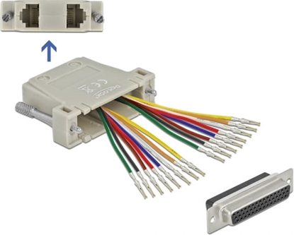 Изображение Delock D-Sub HD 44 pin crimp female to 2 x RJ45 female with assembly kit beige