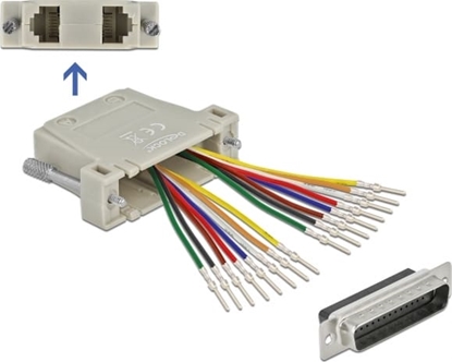 Изображение Delock D-Sub HD 44 pin crimp male to 2 x RJ45 female with assembly kit beige