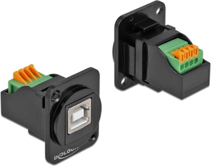 Изображение Delock D-Type Module USB 2.0 Type-B female to terminal block