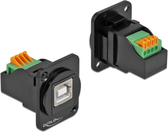 Изображение Delock D-Type Module USB 2.0 Type-B female to terminal block