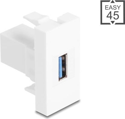 Изображение Delock Easy 45 Modul USB 5 Gbps Type-A female to USB 5 Gbps Type-A female white (1:1)