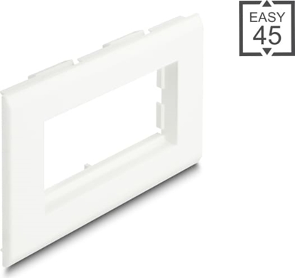 Изображение Delock Easy 45 Module Holder for installation trunking 130 x 80 mm