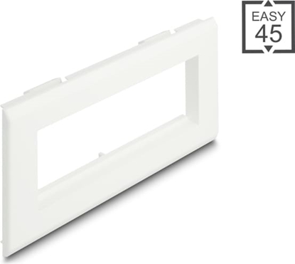 Изображение Delock Easy 45 Module Holder for installation trunking 175 x 80 mm