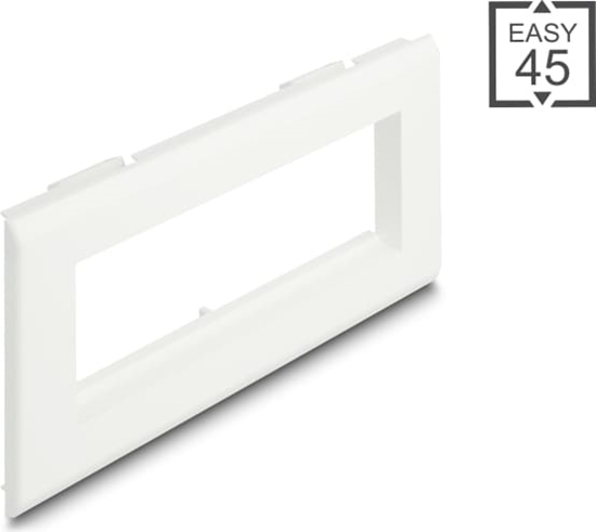 Изображение Delock Easy 45 Module Holder for installation trunking 175 x 80 mm