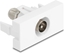 Изображение Delock Easy 45 Module IEC male to F female white