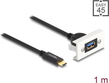 Изображение Delock Easy 45 Module SuperSpeed USB 10 Gbps (USB 3.2 Gen 2) USB Type-A female to USB Type-C™ male with pigtail, 22,5 x 45 mm