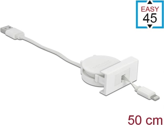 Изображение Delock Easy 45 Module USB 2.0 Retractable Cable USB Type-A to 8 Pin Lightning female white