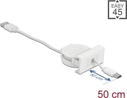 Изображение Delock Easy 45 Module USB 2.0 Retractable Cable USB Type-A to USB Type-C™ white