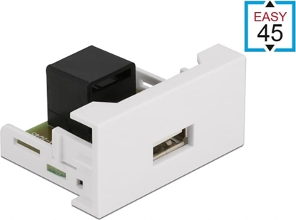Изображение Delock Easy 45 Module USB 2.0 Type-A female to RJ45 female port 22.5 x 45 mm