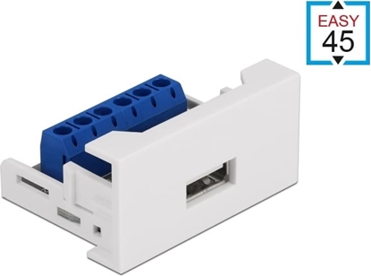 Изображение Delock Easy 45 Module USB 2.0 Type-A female to Terminal Block 22.5 x 45 mm