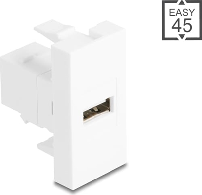 Изображение Delock Easy 45 Module USB 2.0 Type-A female to USB 2.0 Type-B female white
