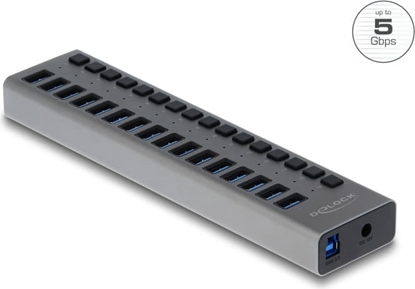 Изображение Delock External USB 5 Gbps Hub with 16 Ports + Switch