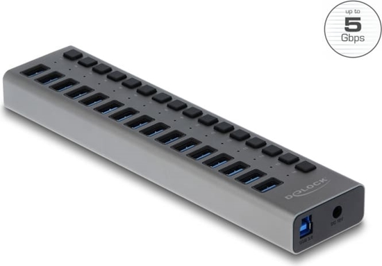 Изображение Delock External USB 5 Gbps Hub with 16 Ports + Switch