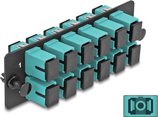 Изображение Delock Fiber Optic Adapter Panel SC Simplex OM4 12 Port aqua