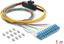 Изображение Delock Fibre Optic Pigtail Fanout Cable 12 x LC-UPC Simplex male to 12 x open cable ends 1 m