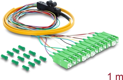 Изображение Delock Fibre Optic Pigtail Fanout Cable 12 x SC-APC Simplex male to 12 x open cable ends 1 m