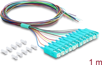 Изображение Delock Fibre Optic Pigtail Fanout Cable 12 x SC-UPC Simplex male to 12 x open cable ends 1 m