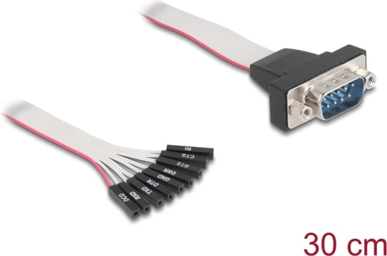 Изображение Delock Flat Ribbon Cable RS-232 with 9 x pin header female to D-Sub 9 pin male with nuts 30 cm