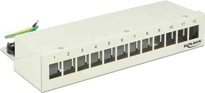 Picture of Delock Keystone Desktop Patch Panel 12 Port grey