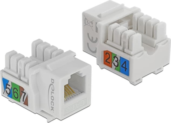 Picture of Delock Keystone Module RJ12 jack > LSA Cat.3 UTP white