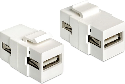 Picture of Delock Keystone Module USB 2.0 A female > USB 2.0 A female white