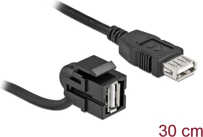 Picture of Delock Keystone Module USB 2.0 A female 110° > USB 2.0 A female with cable black