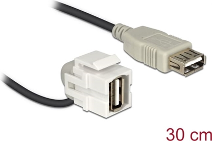 Picture of Delock Keystone Module USB 2.0 A female 110° > USB 2.0 A female with cable white