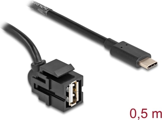 Picture of Delock Keystone Module USB 2.0 A female to USB Type-C™ male 250° with cable 0.5 m