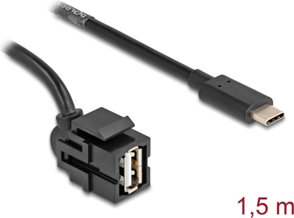 Picture of Delock Keystone Module USB 2.0 A female to USB Type-C™ male 250° with cable 1.5 m