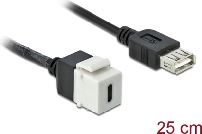Picture of Delock Keystone Module USB 2.0 C female > USB 2.0 A female with cable