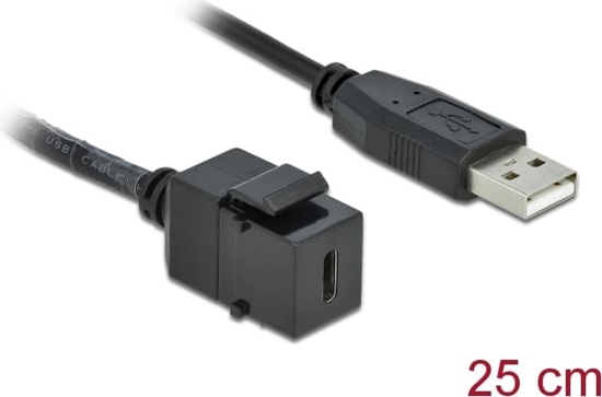 Picture of Delock Keystone Module USB 2.0 C female > USB 2.0 A male with cable