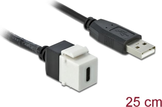 Picture of Delock Keystone Module USB 2.0 C female > USB 2.0 A male with cable