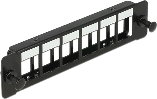 Picture of Delock Keystone Mounting Panel 6 Port