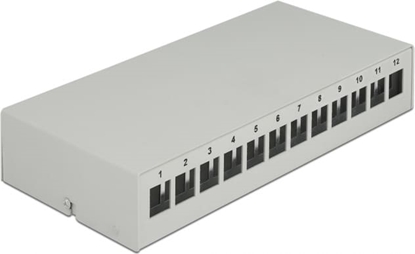 Picture of Delock Keystone Patch Panel 12 Port grey