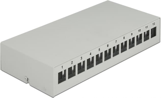 Picture of Delock Keystone Patch Panel 12 Port grey