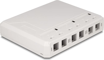 Picture of Delock Keystone Surface Mounted Box 6 Port for fiber optic and network white