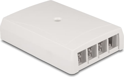 Picture of Delock Keystone Surface Mounted Box surface mounted 4 Port for fiber optic and network white