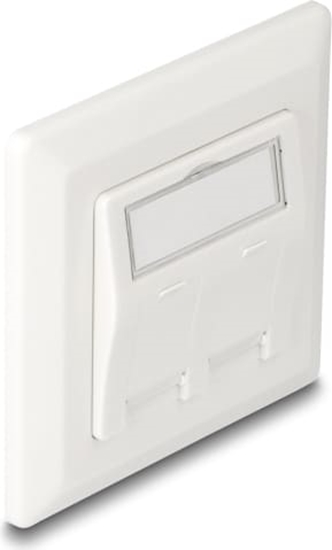 Picture of Delock Keystone Wall Outlet 2 port
