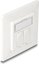 Picture of Delock Keystone Wall Outlet 2 Port compact