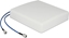 Изображение Delock LTE MIMO Antenna 2 x N jack 8 dBi directional with connection cable RG-402 37 cm outdoor beige