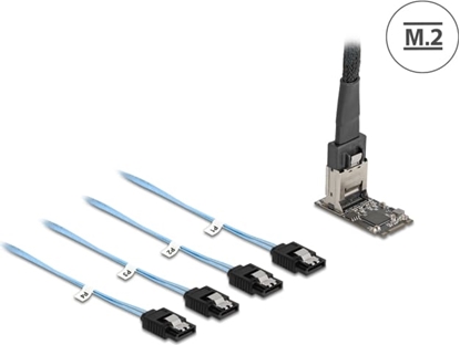 Picture of Delock M.2 2242 Key B+M Controller to 4 x SATA with 1 m cable